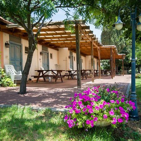 Kibbutz Moran Digital Nomads Village-Adults Only Екстер'єр фото