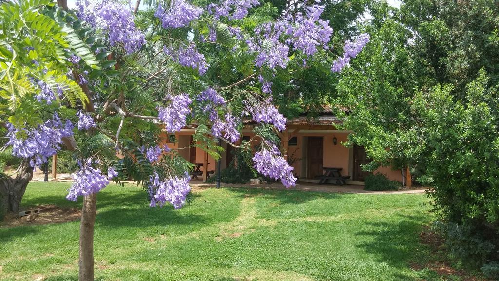 Kibbutz Moran Digital Nomads Village-Adults Only Екстер'єр фото