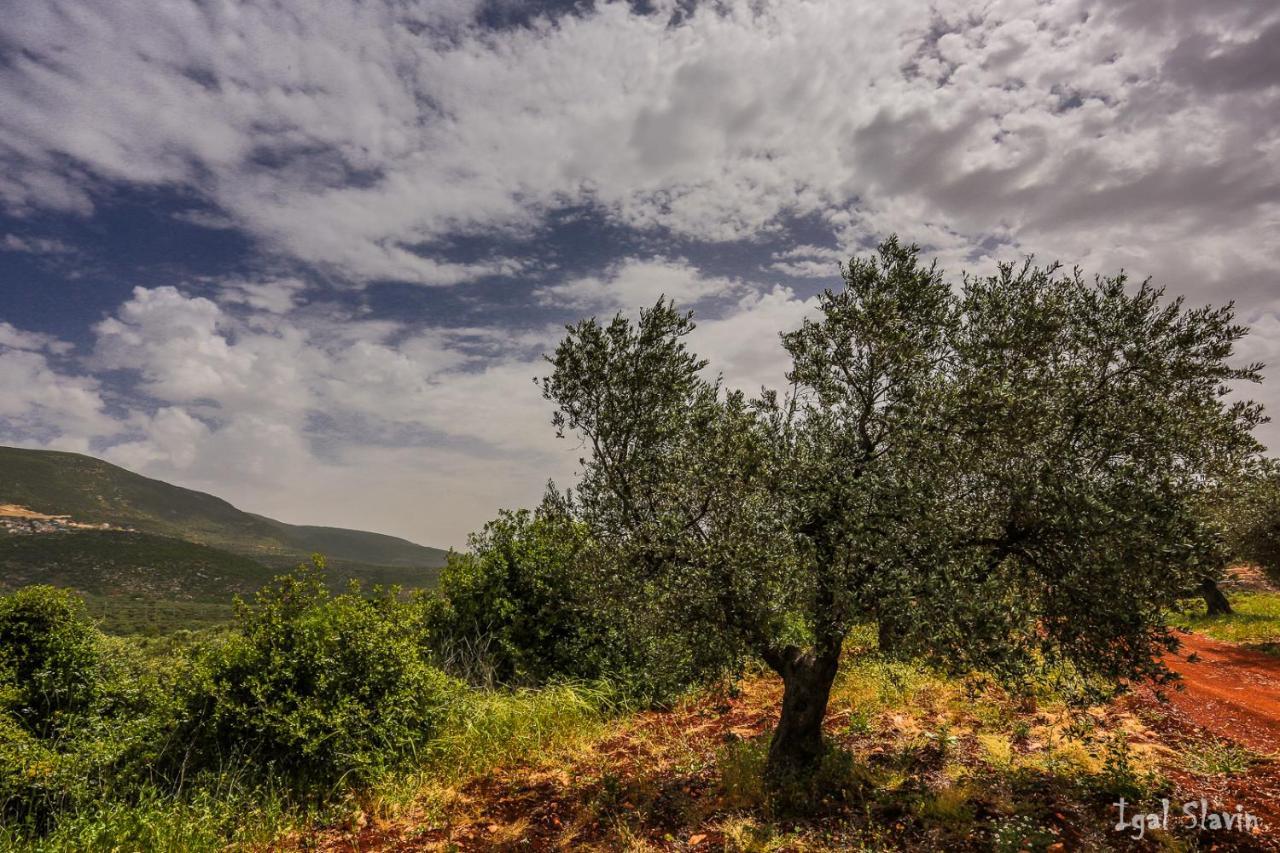 Kibbutz Moran Digital Nomads Village-Adults Only Екстер'єр фото