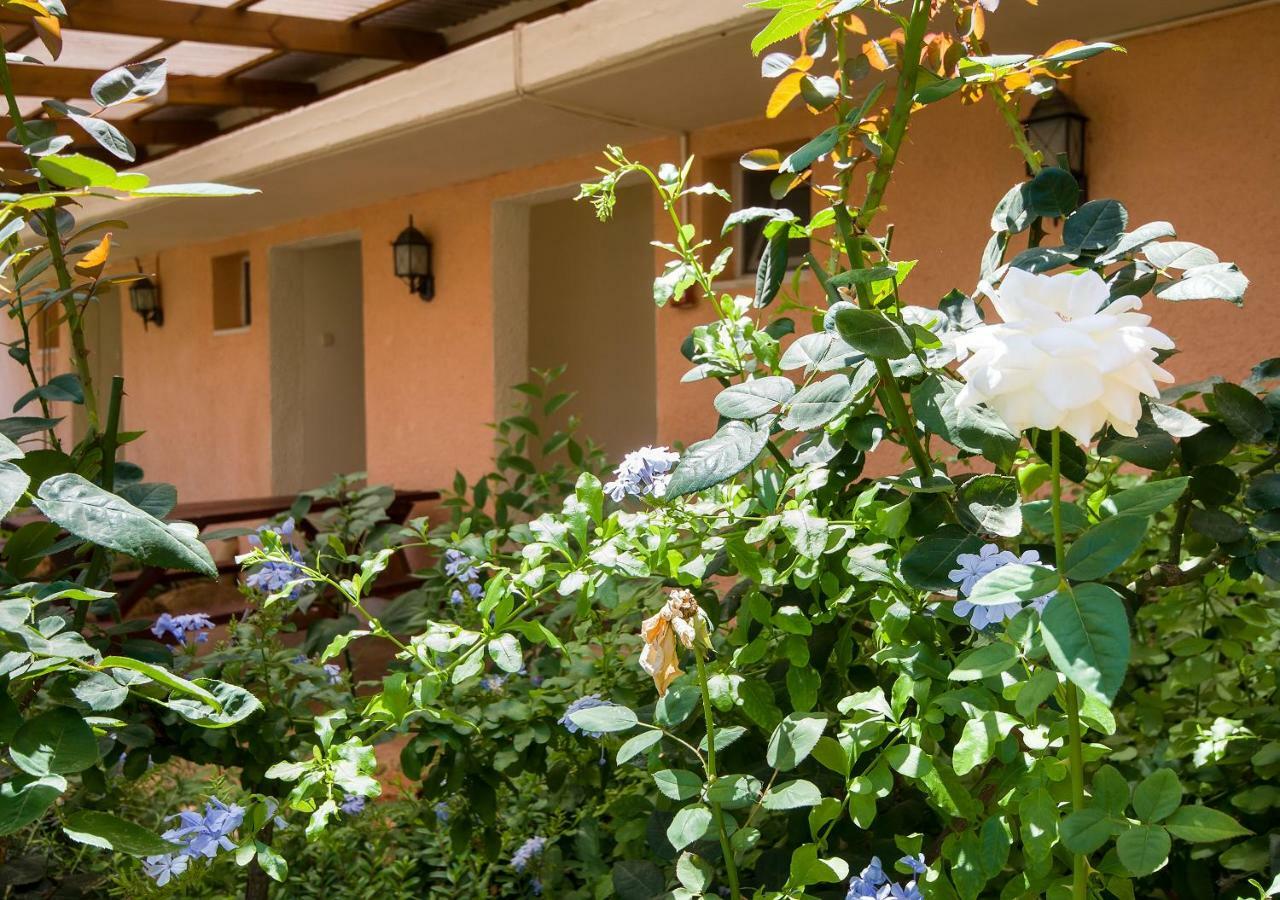 Kibbutz Moran Digital Nomads Village-Adults Only Екстер'єр фото