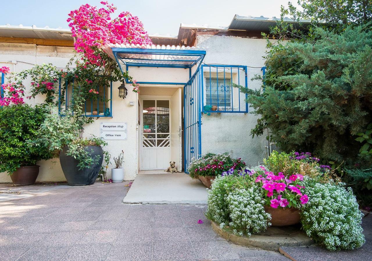Kibbutz Moran Digital Nomads Village-Adults Only Екстер'єр фото