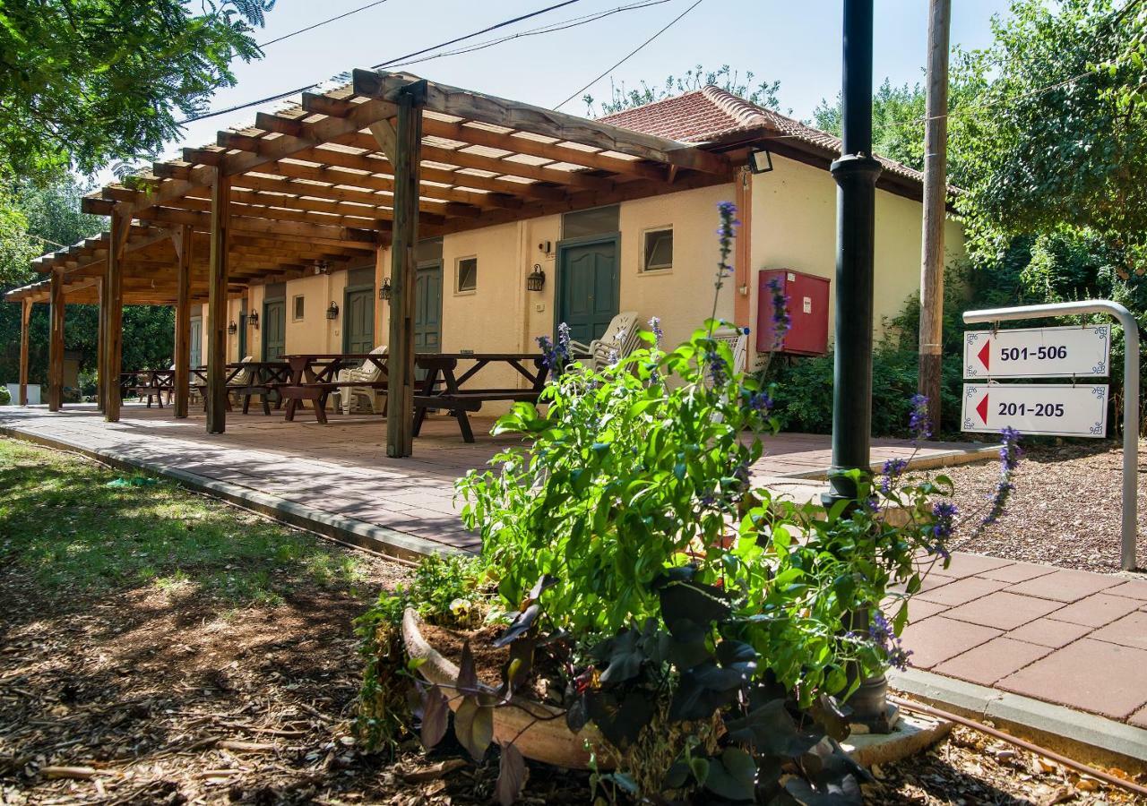 Kibbutz Moran Digital Nomads Village-Adults Only Номер фото