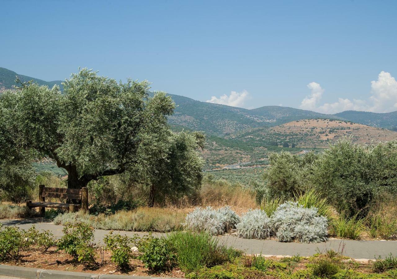 Kibbutz Moran Digital Nomads Village-Adults Only Екстер'єр фото